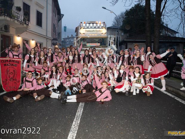 33 Čepljonske mačkare