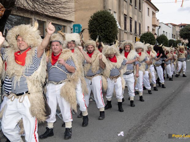 11 Zametski zvončari